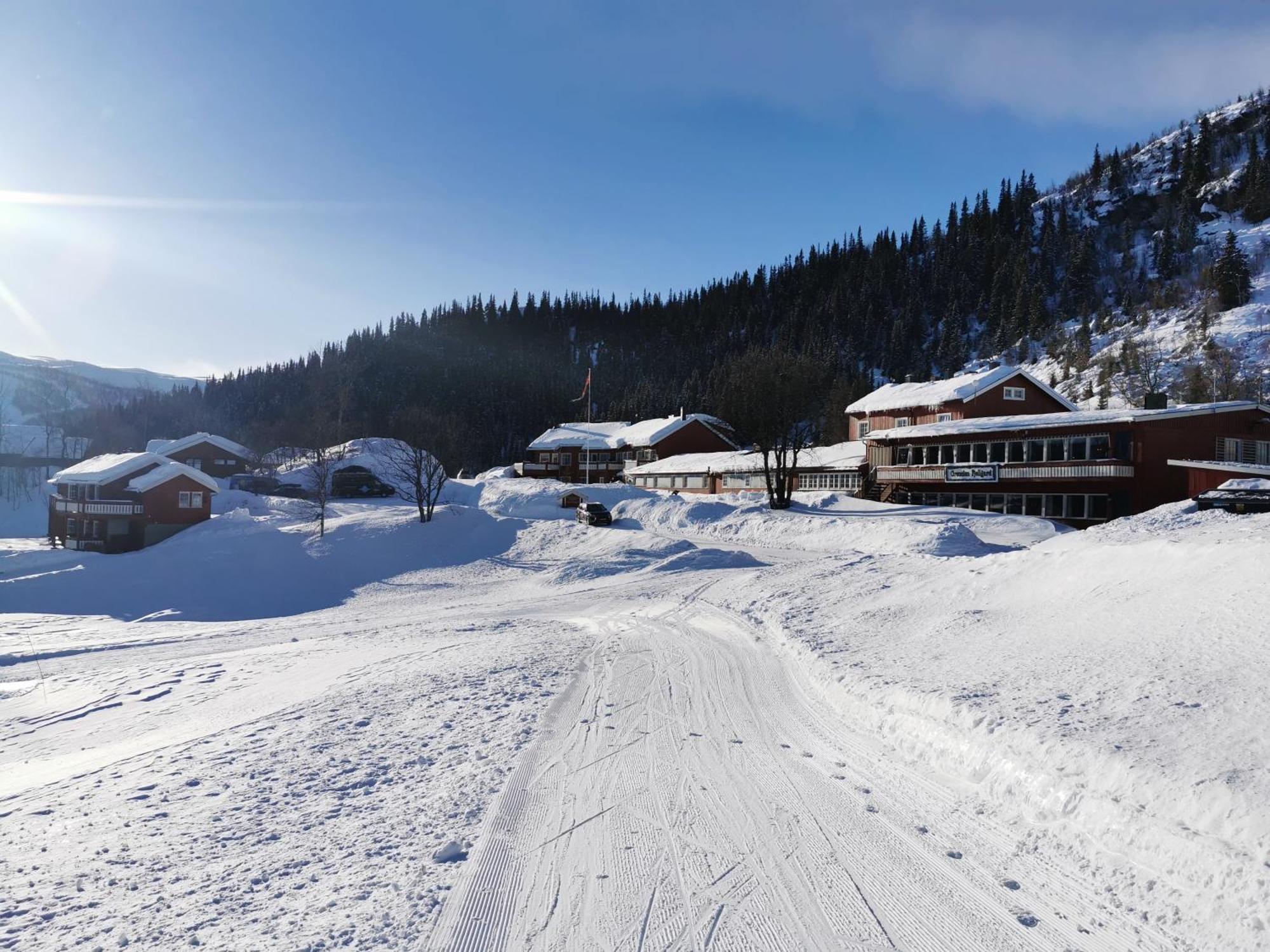 Hotel Gronolen Fjellgard à Beitostolen Extérieur photo